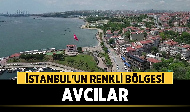 Avcılar Evden Eve Nakliyat